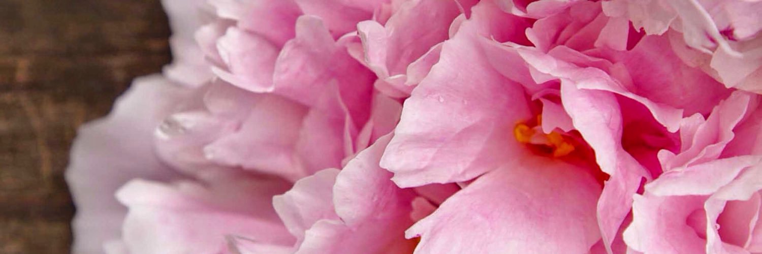 E_A_S_19's profile banner image