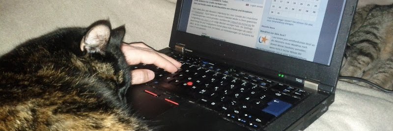 Stillgelegtes Konto von Thorsten Leemhuis banner