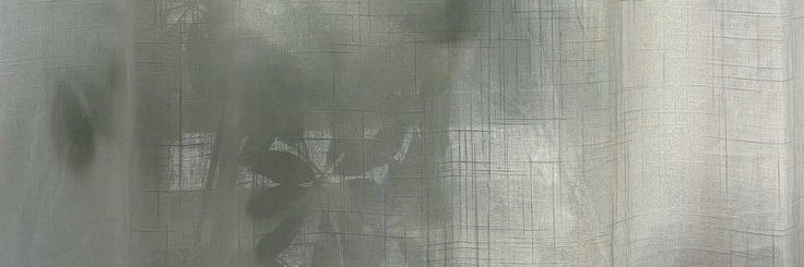 eli banner