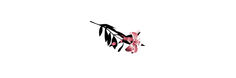 𝓖𝖺𝗂𝗇𝗌𝖻𝗈𝗋𝗈𝗎𝗀𝗁 , 𝓐𝖾𝗋𝗂𝗍𝗁 banner