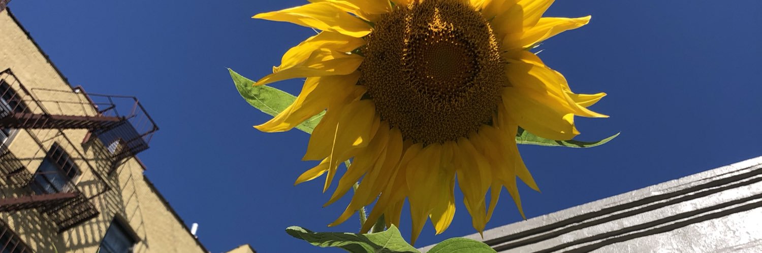 glowe16's profile banner image