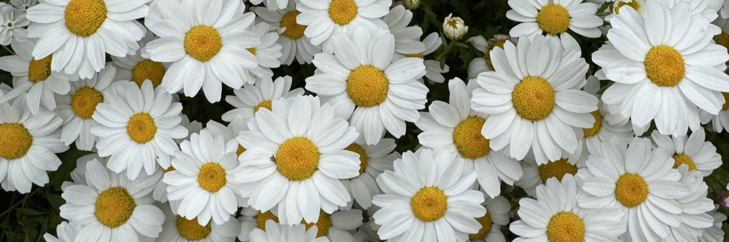 mrmr72151's profile banner image