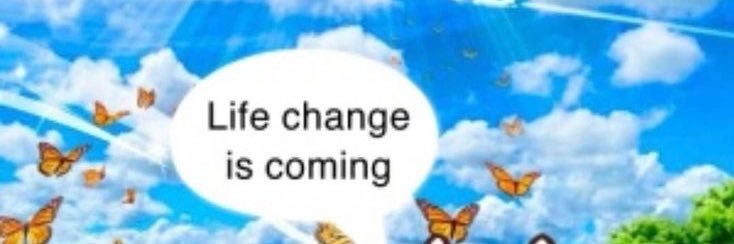 Fish banner