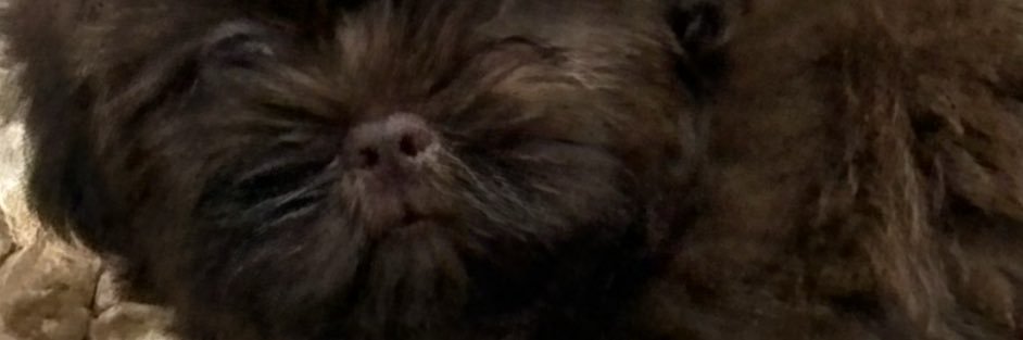 ccguyton's profile banner image