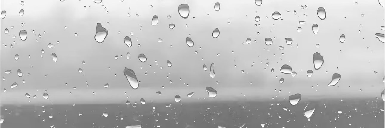 Gwyneth banner