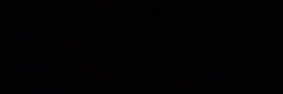 Gustavo banner