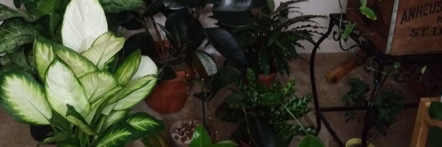 MikeMoran47's profile banner image