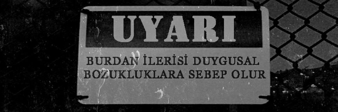Yaz dostum "Haydar ve Bozo" banner