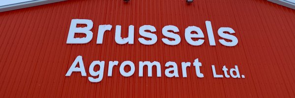 kowalsk11 Profile Banner