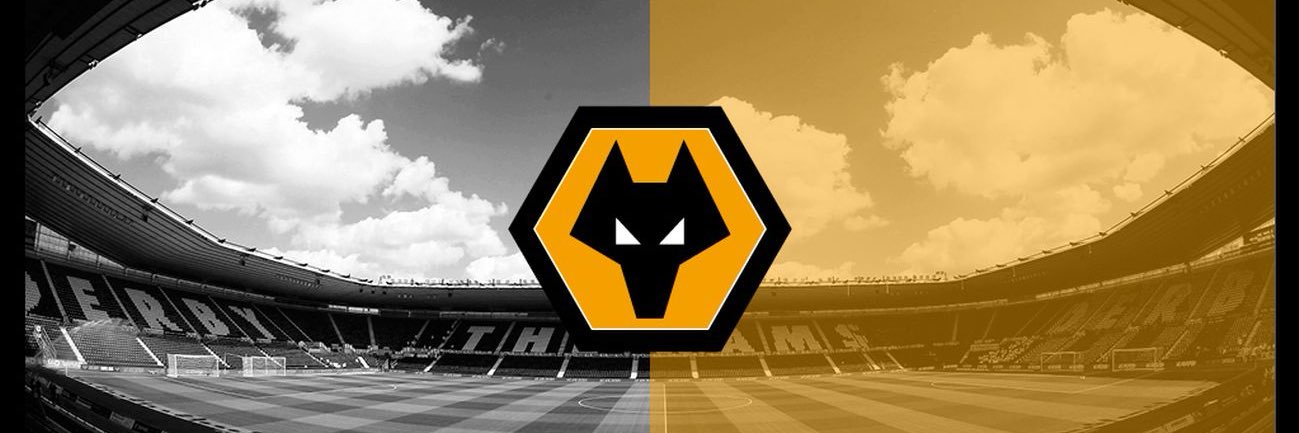 Thewwfcarchive banner