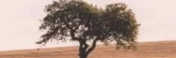 ilgincbiryer's profile banner image