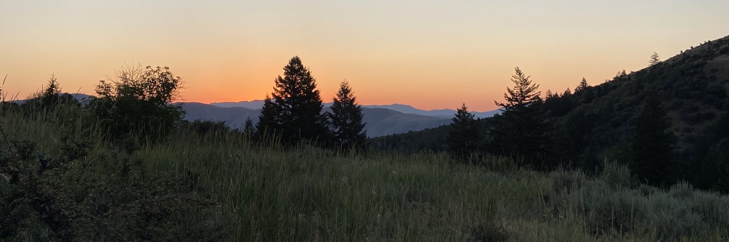 joshpfeifer's profile banner image