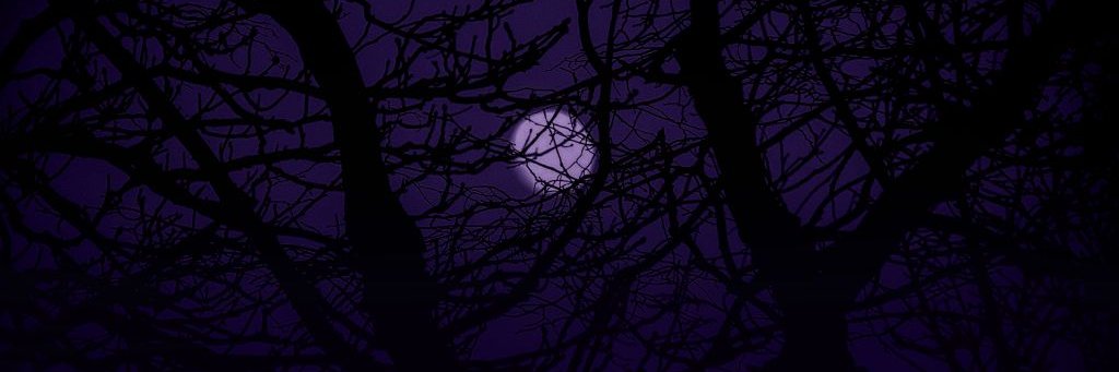 𝑦𝑜𝑢𝑟 𝑑𝑎𝑑𝑑𝑦 banner