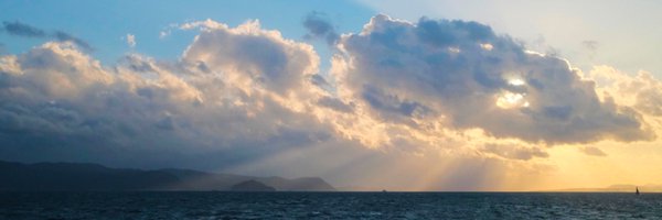 Google Profile Banner