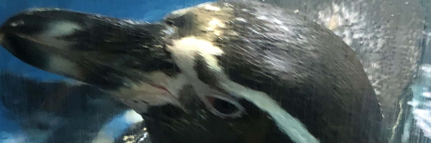 ねむい banner