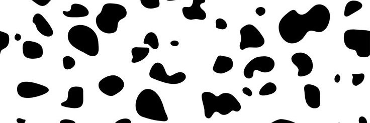 Pochi101 ⚫️🐶 banner
