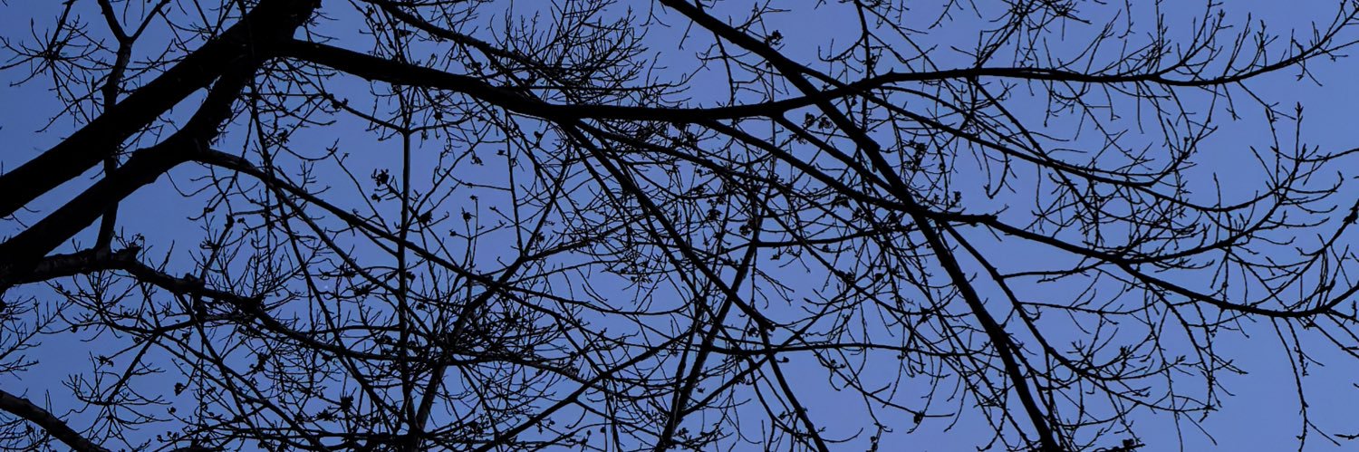 Finnbqck's profile banner image