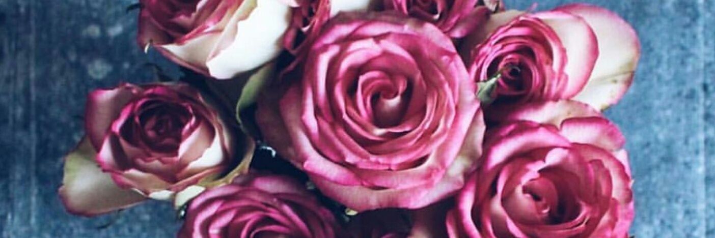 Emme1412's profile banner image