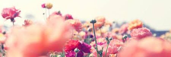 miifuu0502 Profile Banner