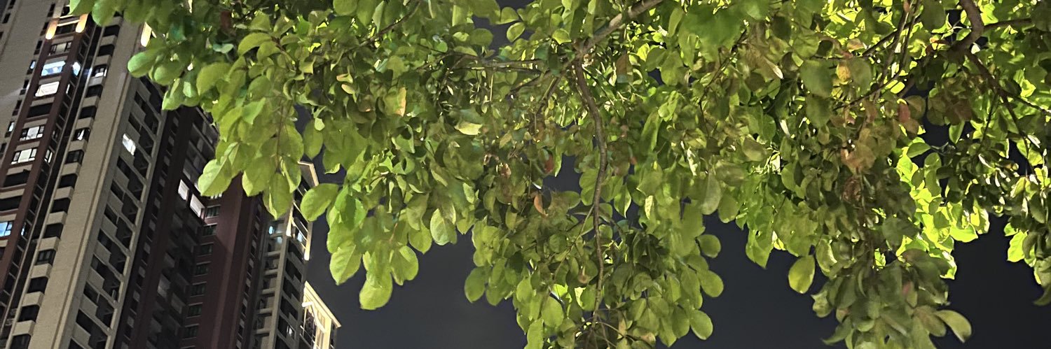 Kdsjsbl's profile banner image