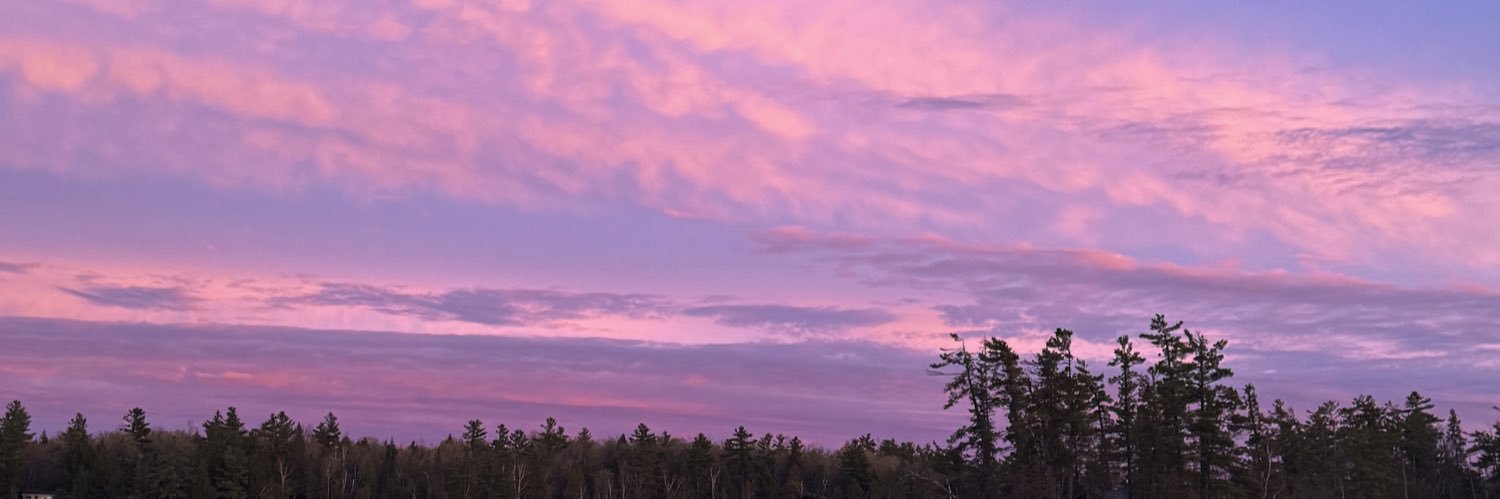 Soleil Lloyd banner