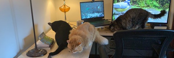 morantimothy Profile Banner