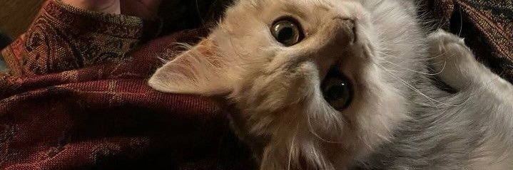 c banner