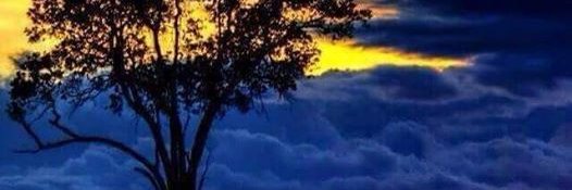 nadjadebaez's profile banner image
