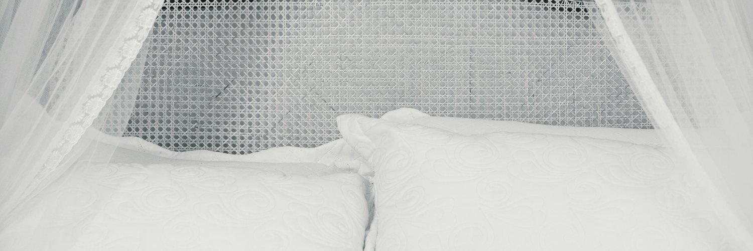 madameswallow banner