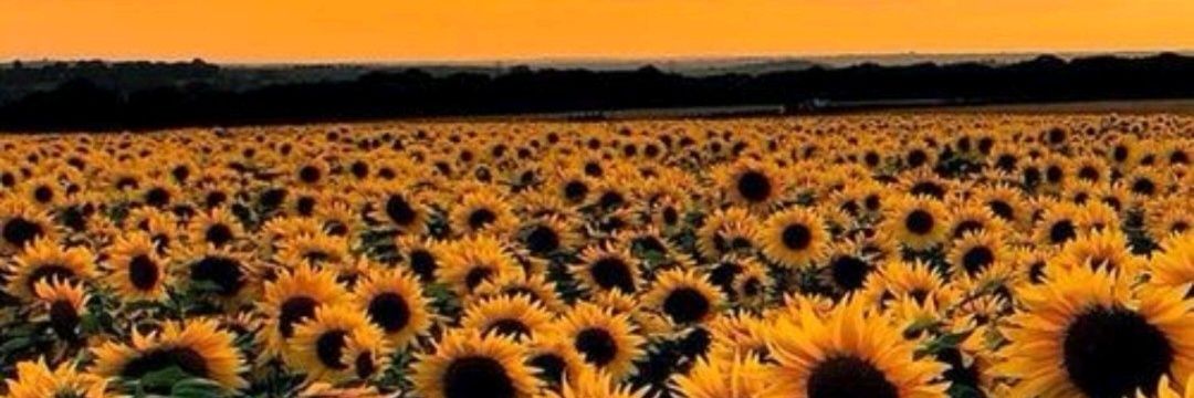 buppigonzalez's profile banner image