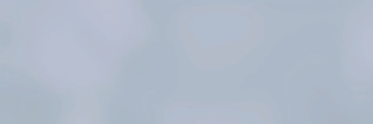 𝐋 banner