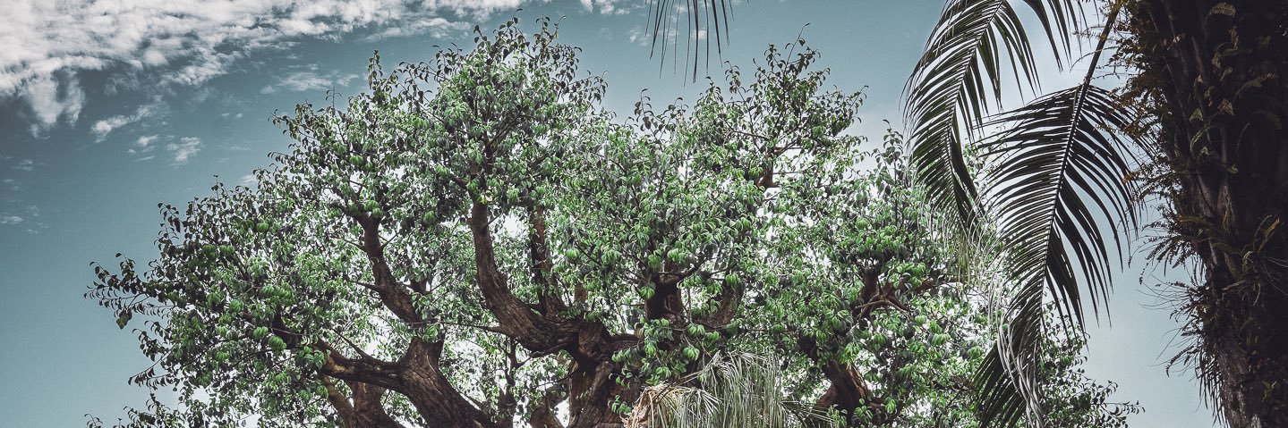 HiMrMackenzie's profile banner image