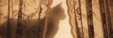 shizuxph's profile banner image