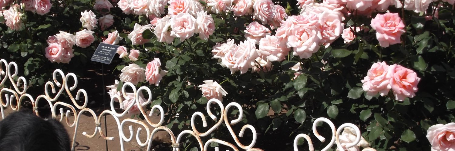 MiNaMi___99's profile banner image