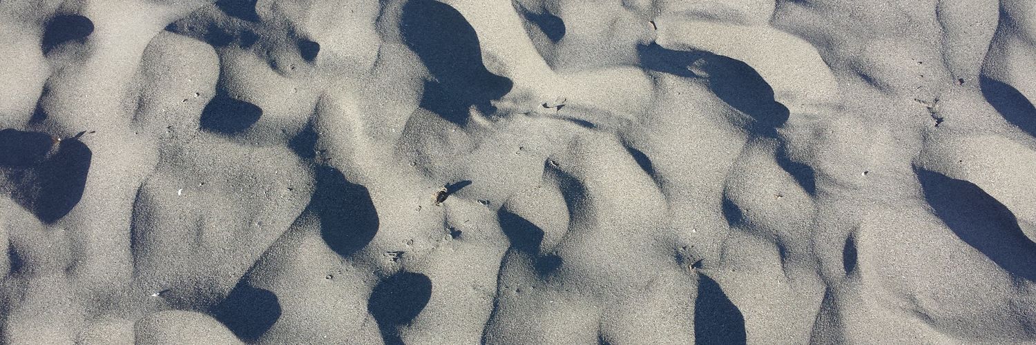 HHollyH's profile banner image