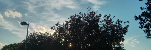 hitchh Profile Banner