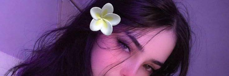 Harley Harrison banner