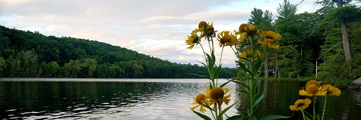 The Post-Star banner