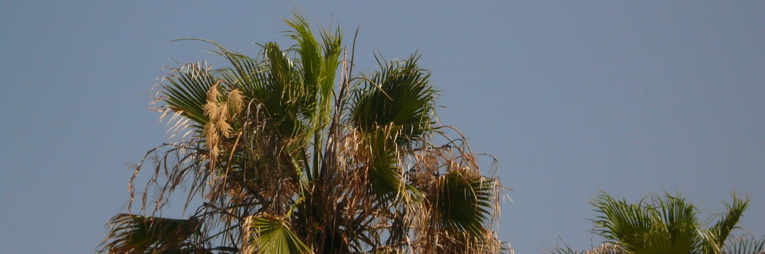 Ellie Loch banner