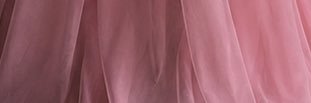 Lex banner