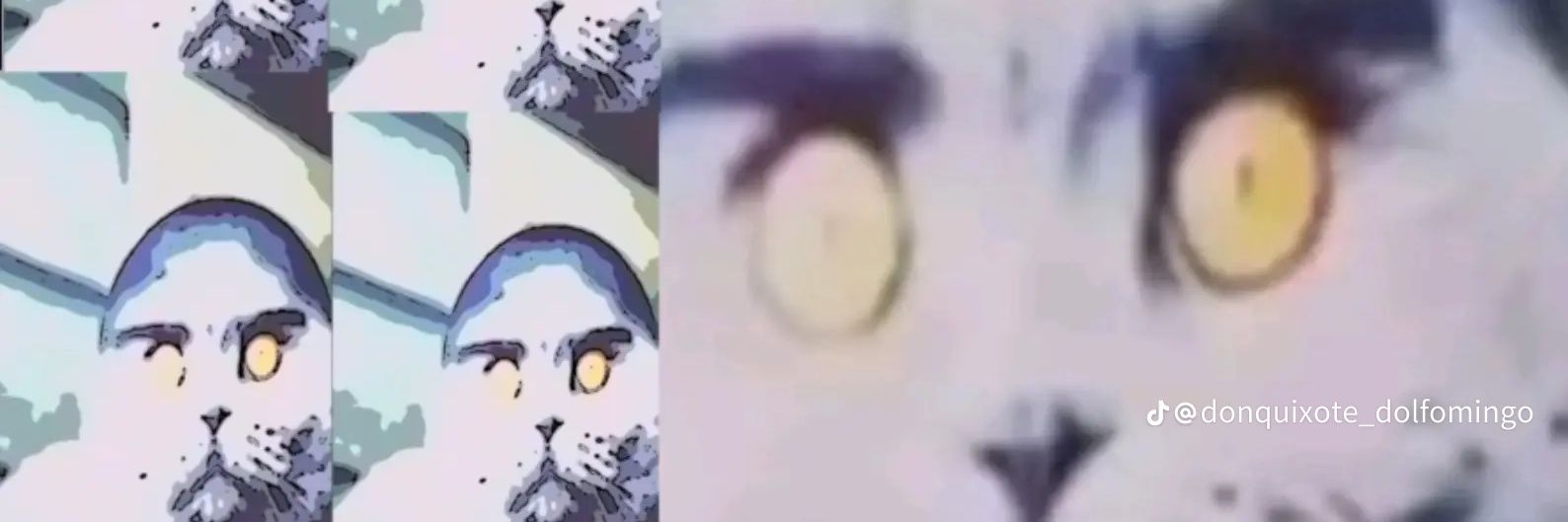 ayguei's profile banner image
