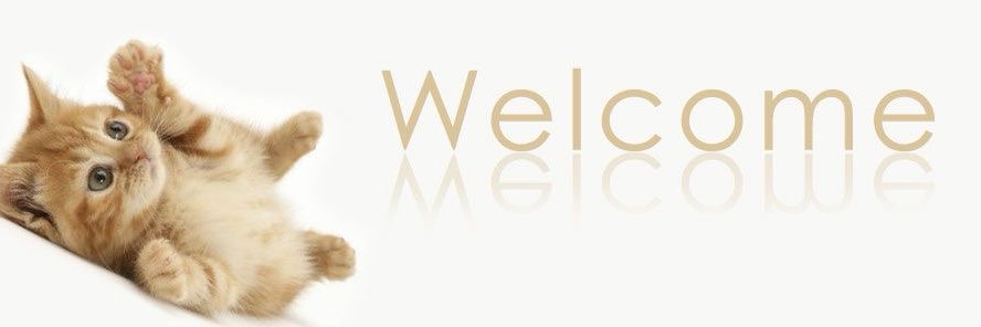 bunny banner