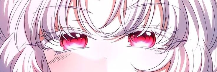 Caeri banner