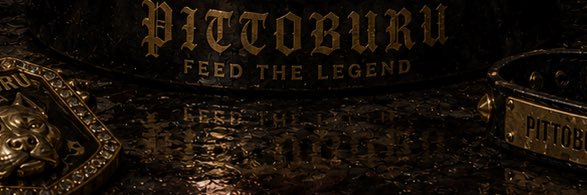 Pitt buru banner