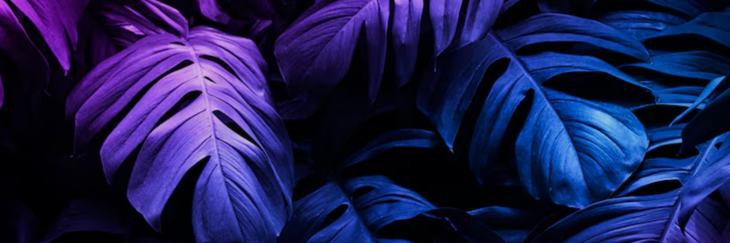 Alexandro banner