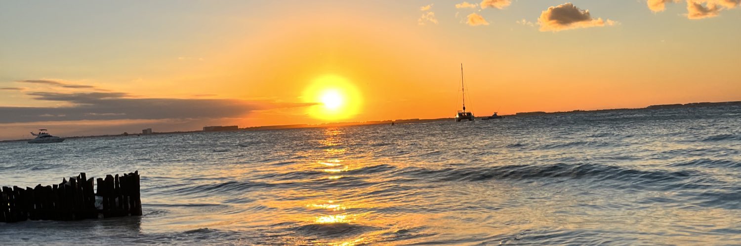 Jimena Ducamp banner