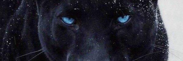 raza7959's profile banner image
