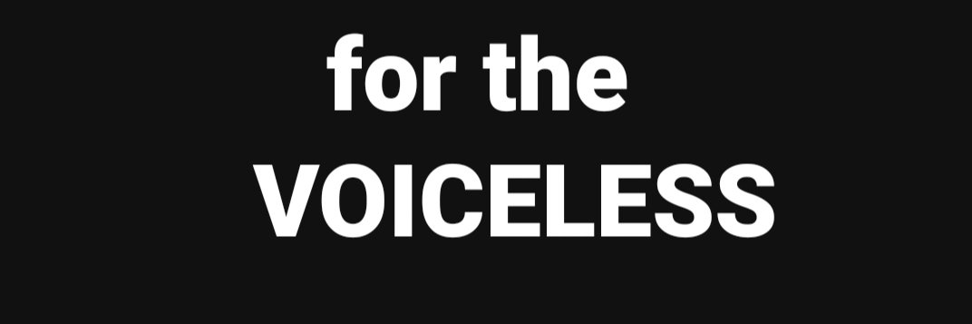 Morela Benavides banner