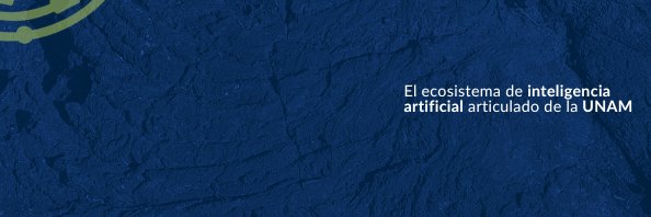 CCOIA UNAM banner