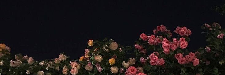 7 🌊 banner